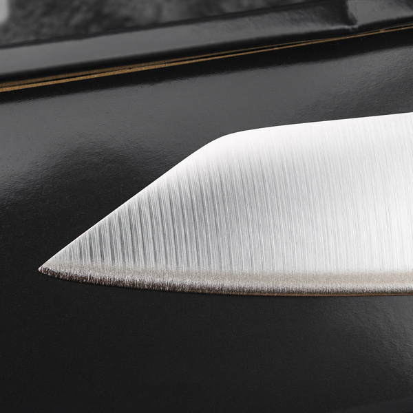 Nóż Yanagi sashimi 25cm | Global G-11R